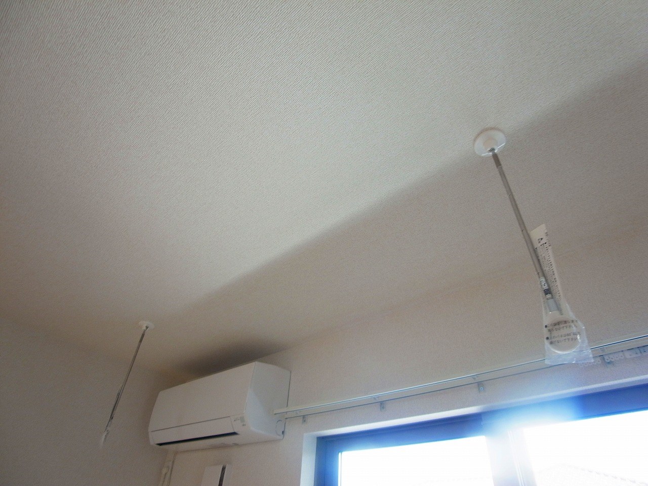 アドニス（adonis）  その他8