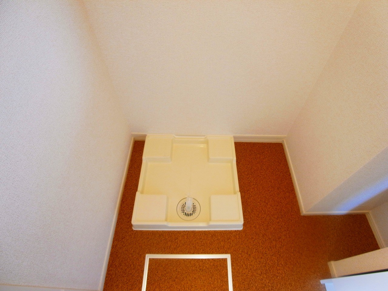 アドニス（adonis）  その他11