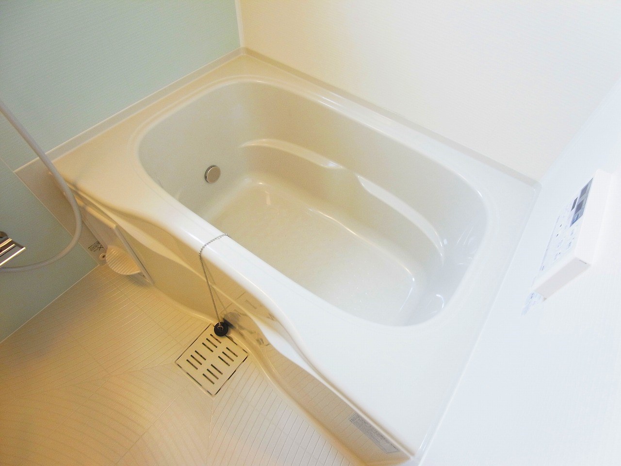 アドニス（adonis）  その他12