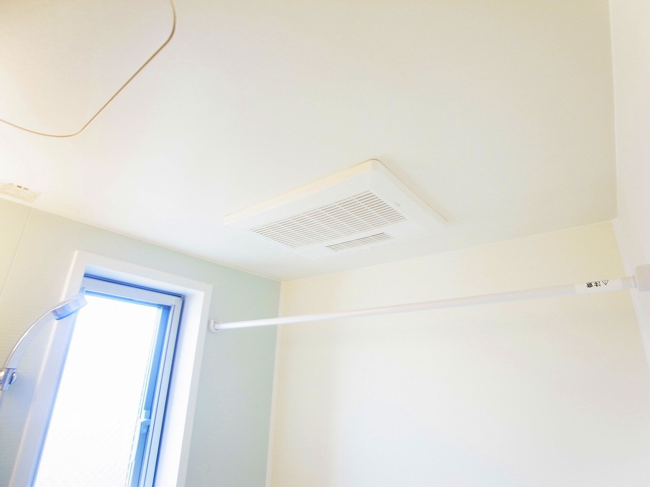 アドニス（adonis）  その他13