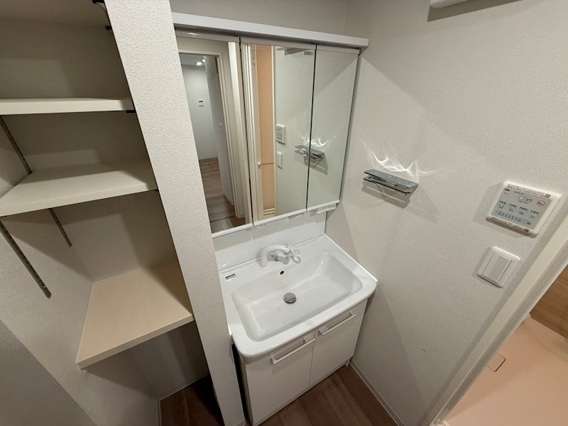 My Style vintage 柏あけぼの その他2