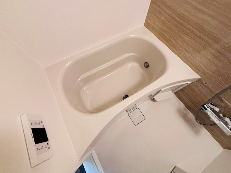 My Style vintage 柏あけぼの  その他11