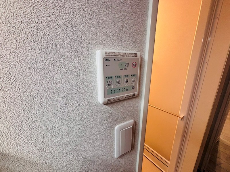 My Style vintage 柏あけぼの  その他13