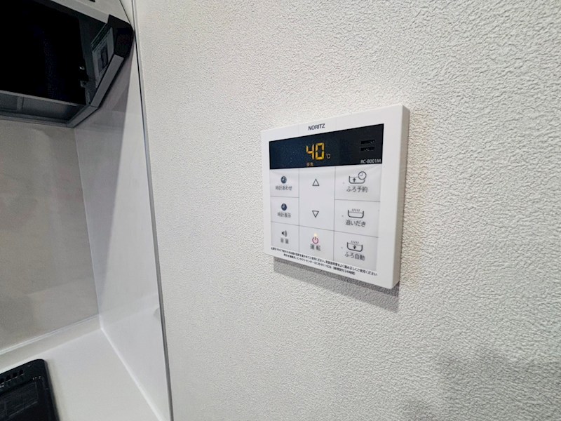 My Style vintage 柏あけぼの  その他20