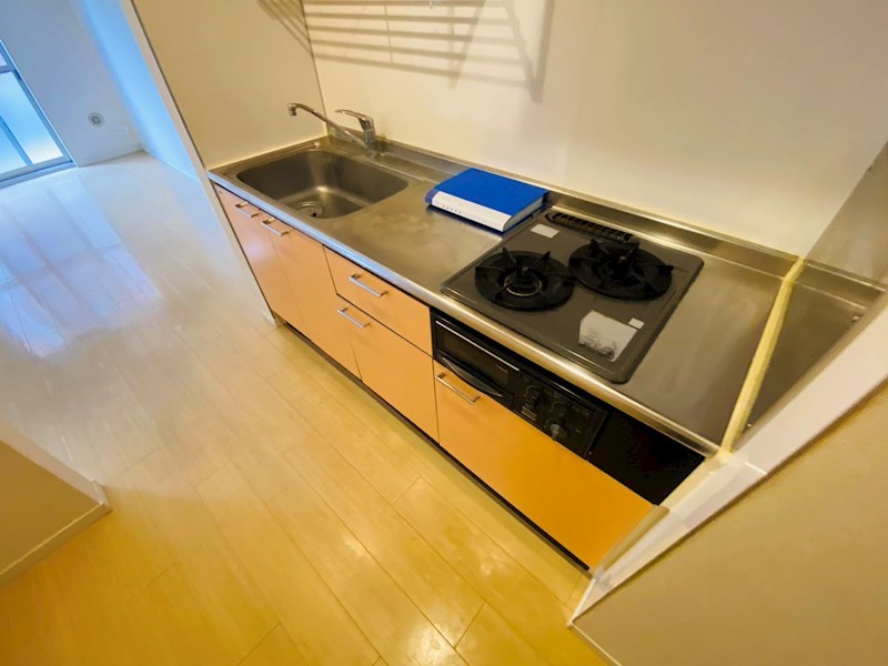 ｆａｍｉｇｌｉａ その他9