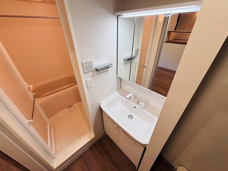 My Style vintage 柏あけぼの  その他2