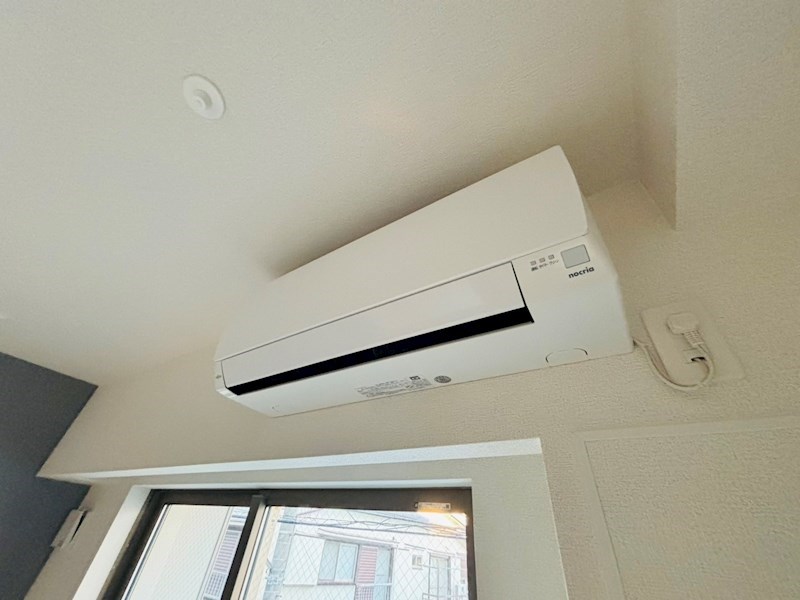 システィコート その他4