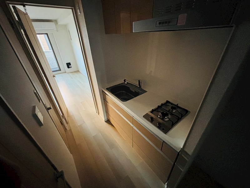 システィコート その他6