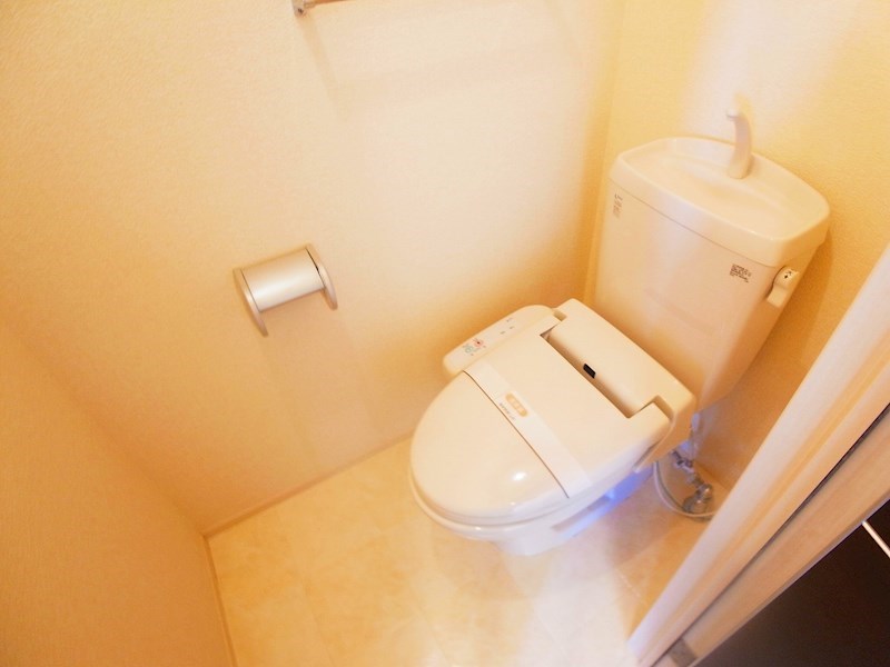 FOREST WIND その他1