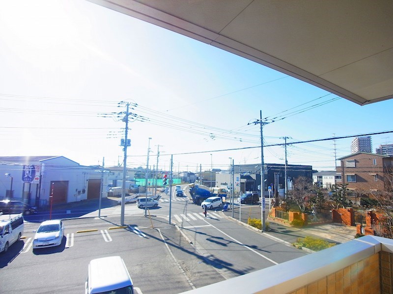 FOREST WIND その他5