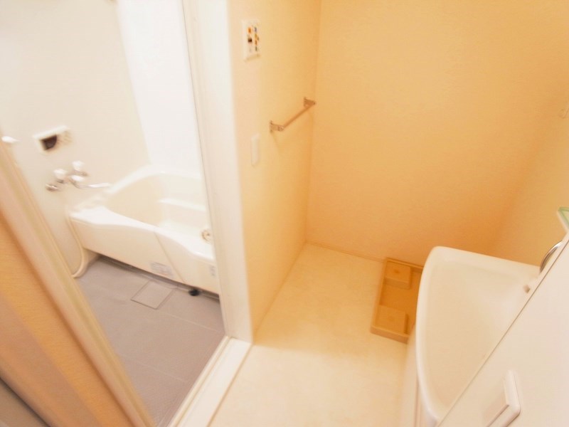 FOREST WIND その他11