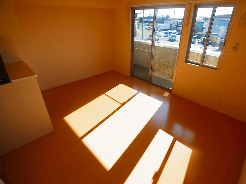 FOREST WIND その他12