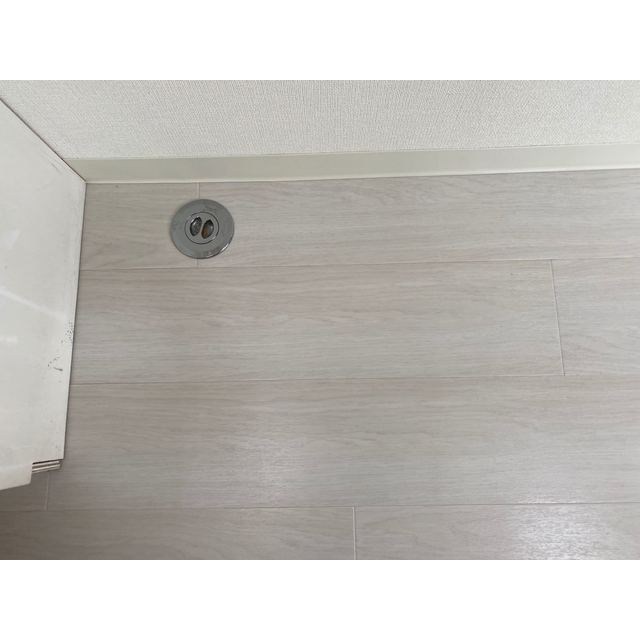 ブルーメ一ツ家55 その他5