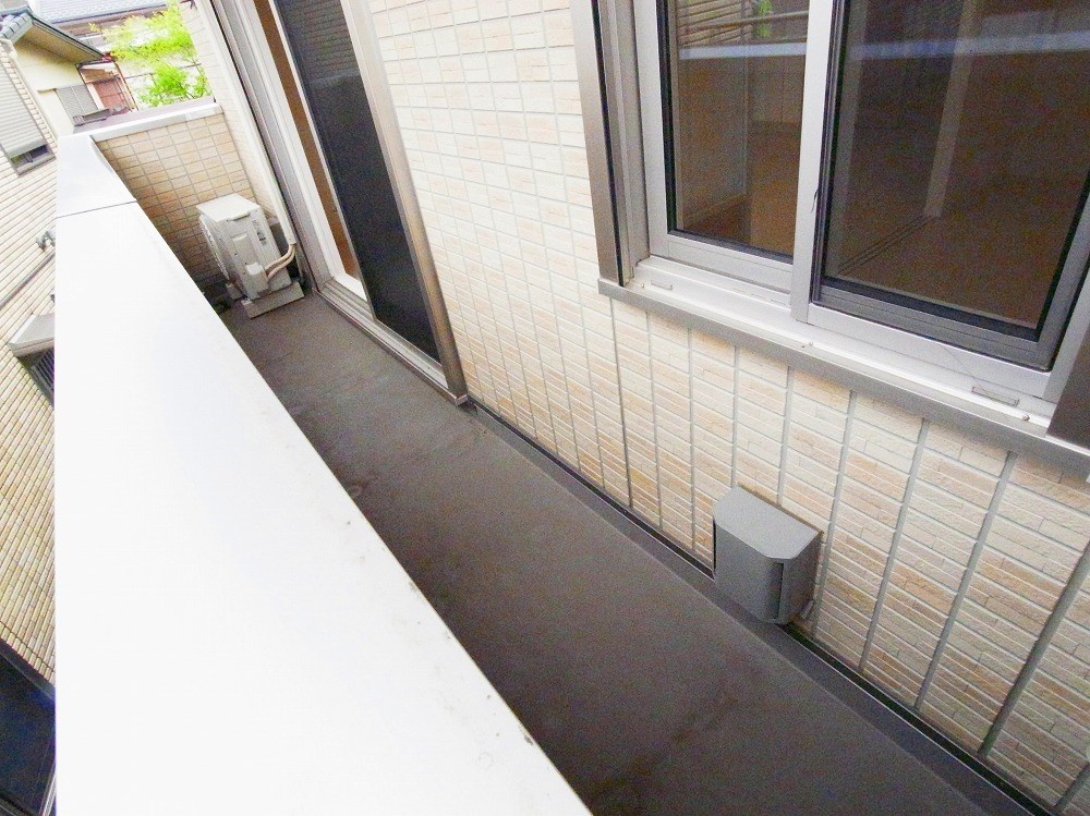 ルピナス その他29