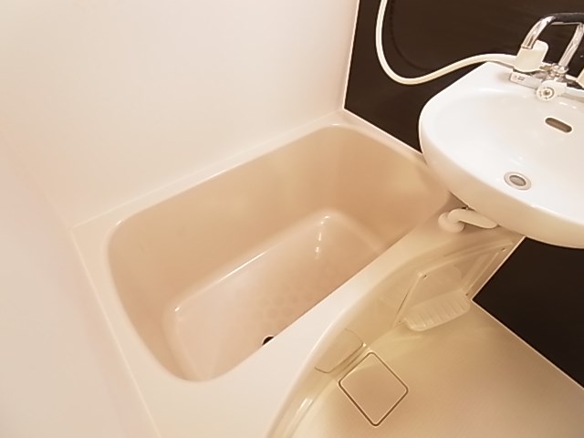 桜木ヒルズ綾瀬  その他11