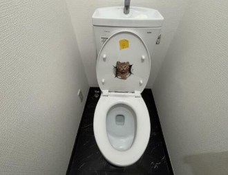 アンベリール・メゾン その他1