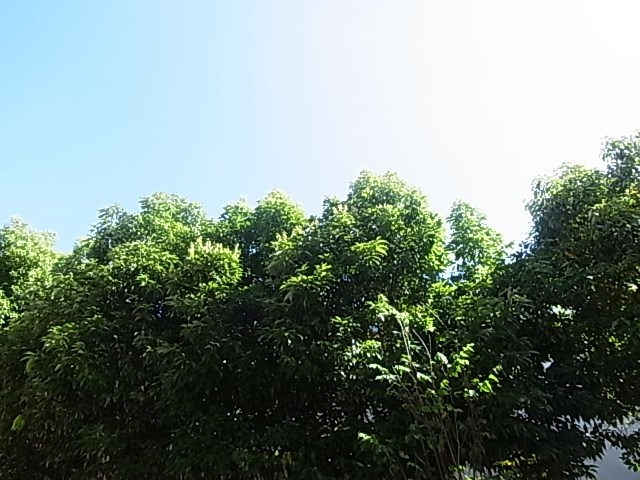 ファミユC その他29