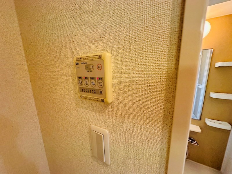 アビタ・ヴァン その他9