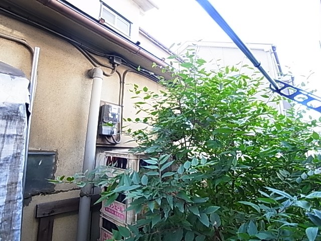 エーデンハイム  その他7