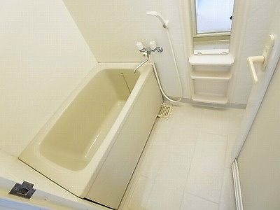 INSURANCE　BLDG.ⅩⅣ 風呂画像