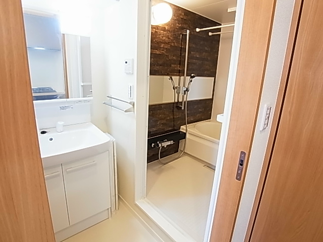 shu shu cinque その他2