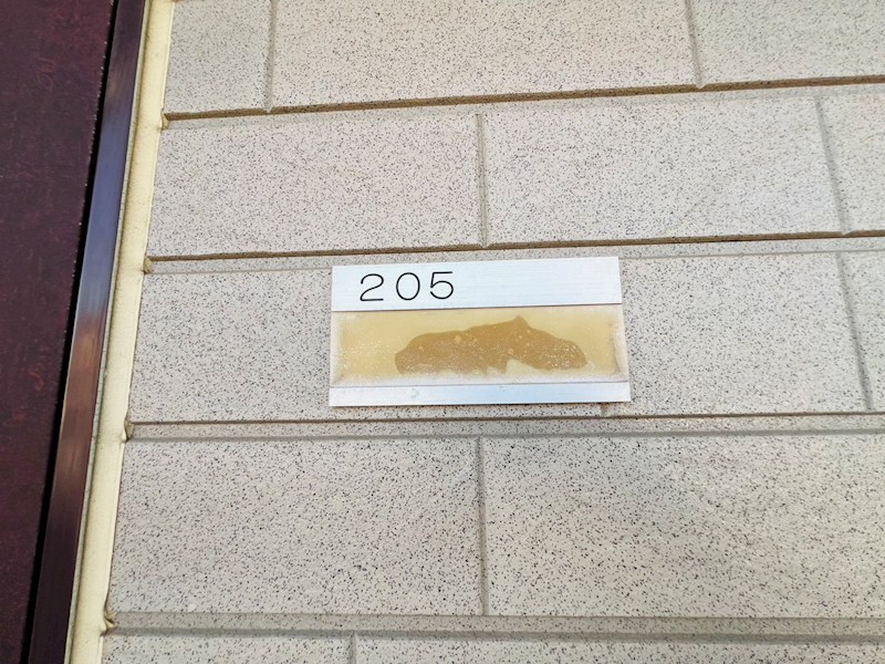 マム・ブランチ  その他12