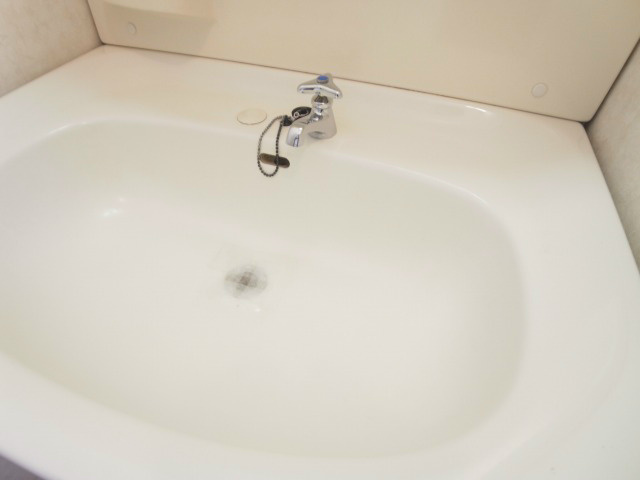 パールハイツマツバ その他16