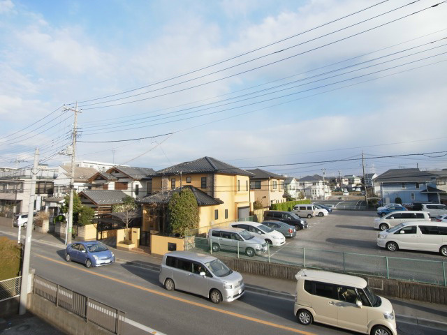 パールハイツマツバ その他33