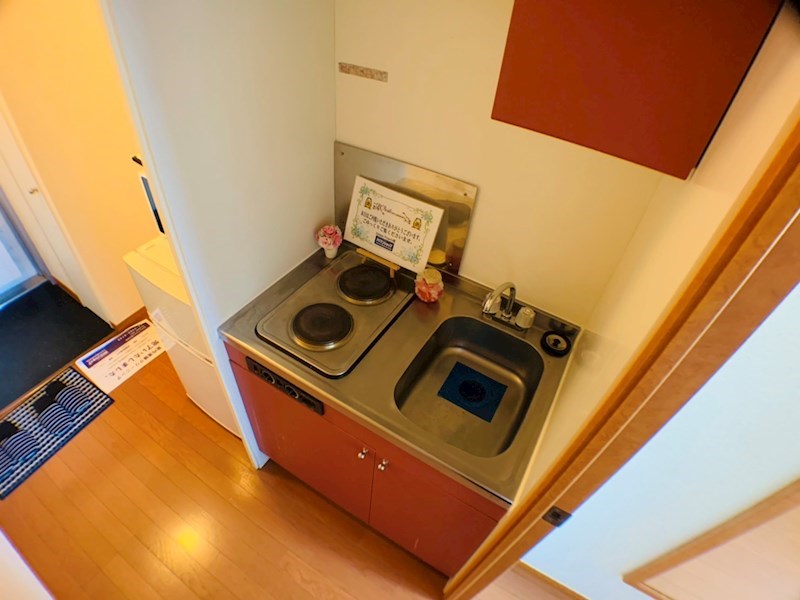 レスポアール その他11