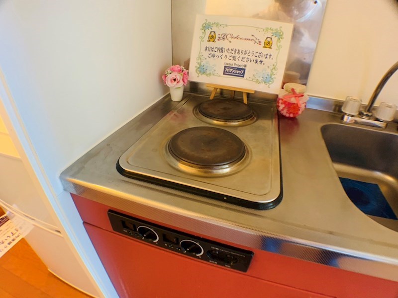 レスポアール その他12