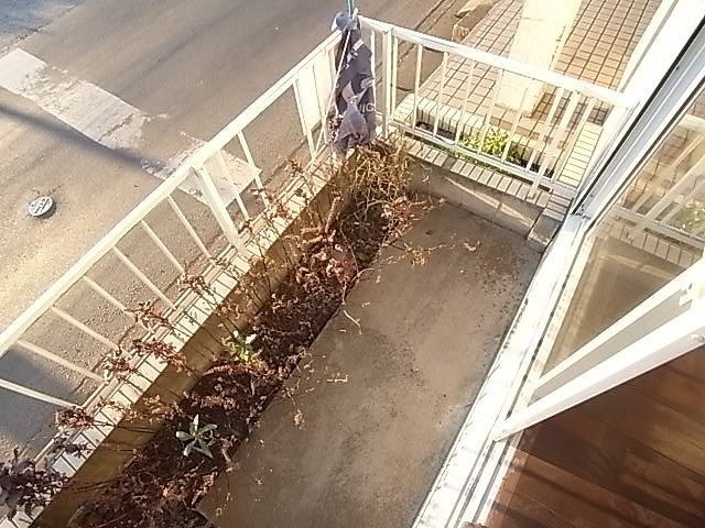 エクセルコーポ ベランダ