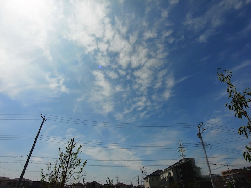 ベルフルール弐番館 その他5