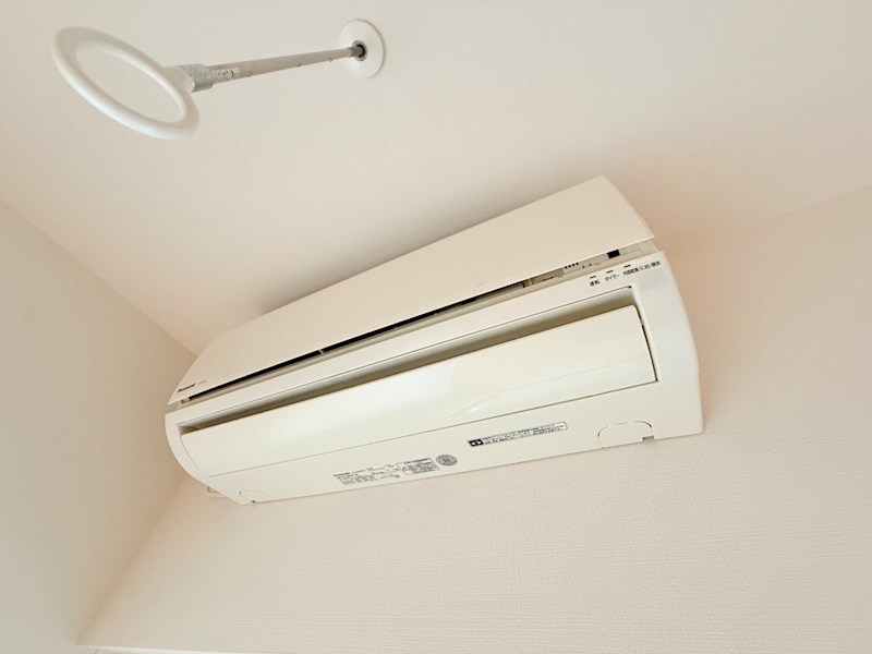 マーシスマルル その他5