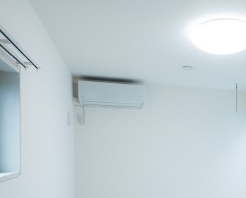 TIGRE UMEJIMA その他5