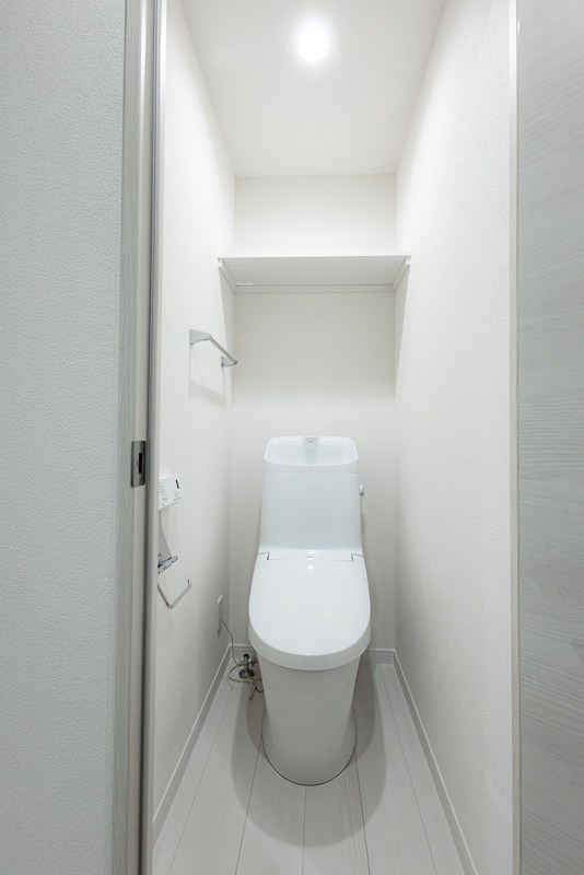 TIGRE UMEJIMA その他1