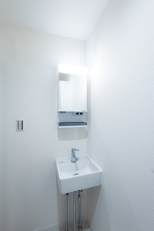 TIGRE UMEJIMA その他2