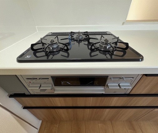 フェリス その他11