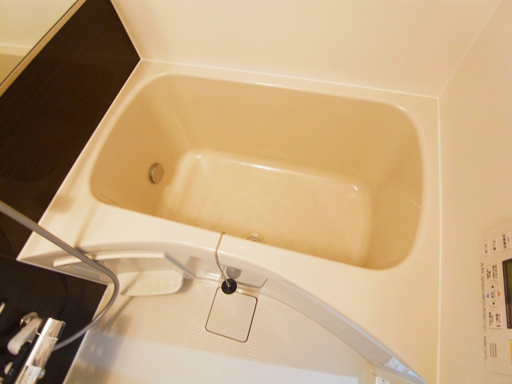 ｐｌｕｍ　Ｉ　ｓｌａｎｄ その他12