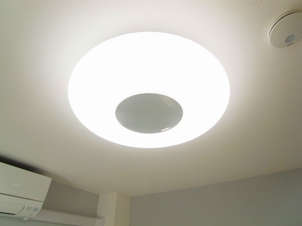 ｐｌｕｍ　Ｉ　ｓｌａｎｄ その他21