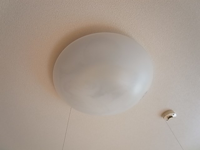 ルネス・K その他14