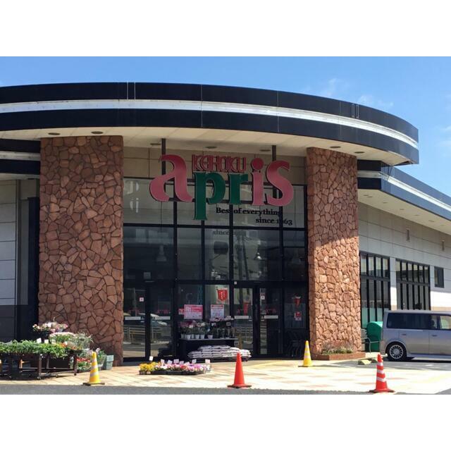 ジェネラス南柏駅前 周辺画像1