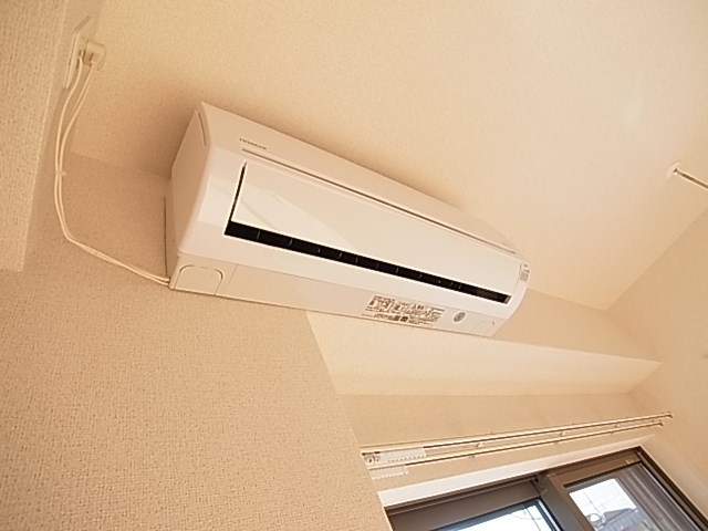 エルヴィータ その他5