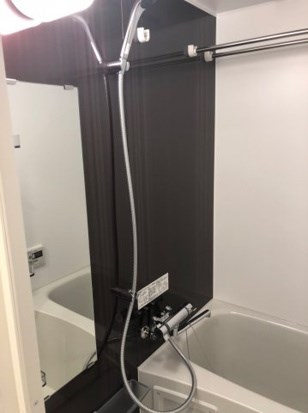 ＤＩＰＳ金町レジデンス 風呂画像