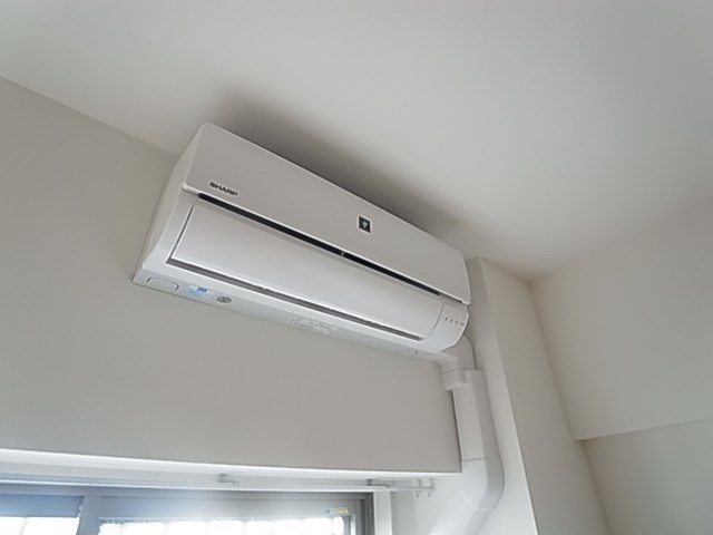 Ｗｈｉｌｅ　椿 その他5