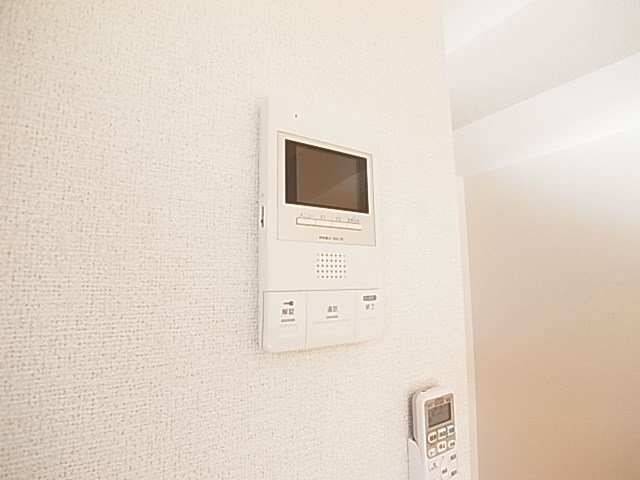 エルヴィータ その他4