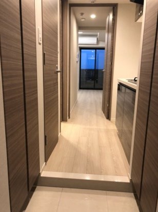 ＤＩＰＳ金町レジデンス 玄関