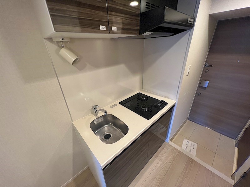 ＤＩＰＳ金町レジデンス その他10