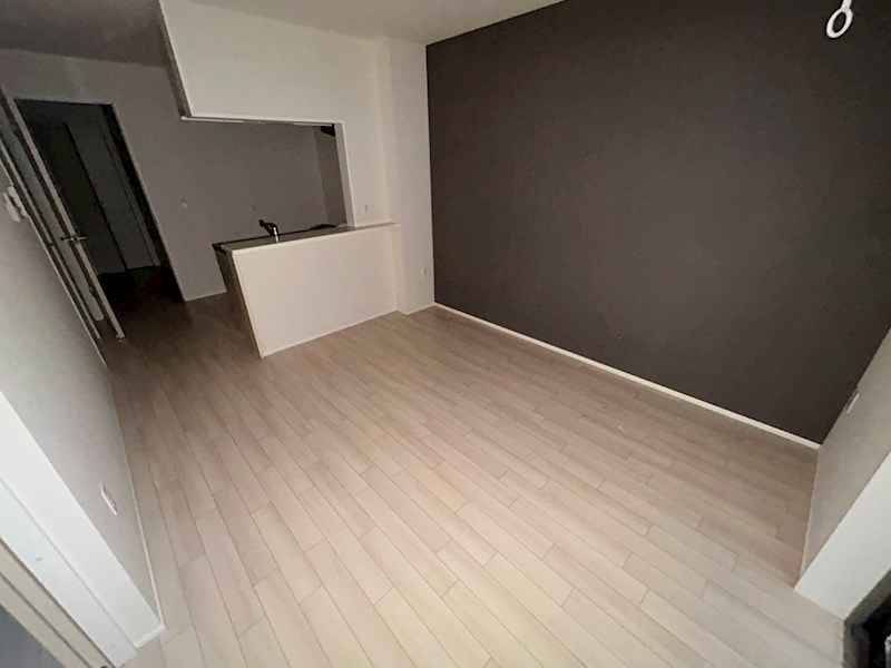 ベルガ その他29