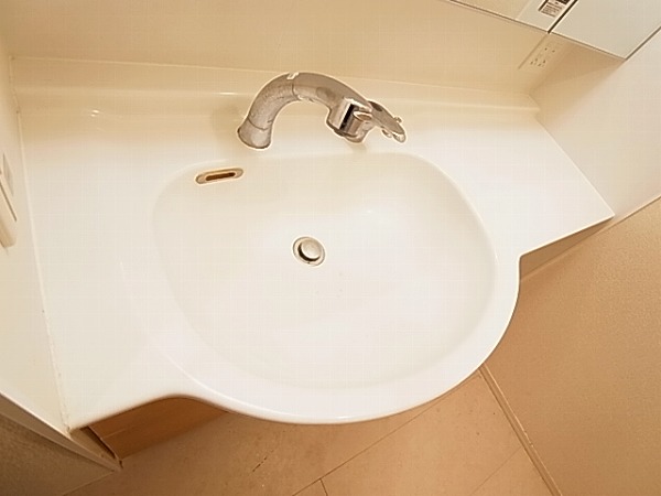 アネシスⅡ その他2