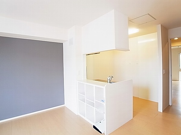 アネシスⅡ その他10